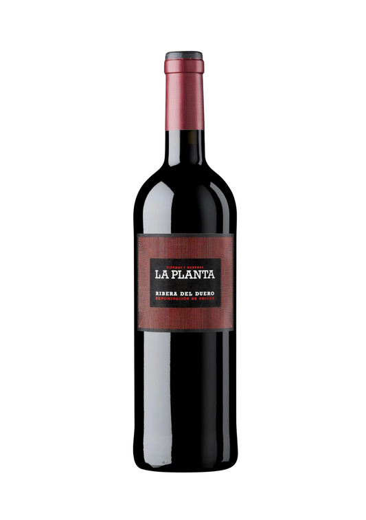 Bodegas Arzuaga La Planta Tempranillo