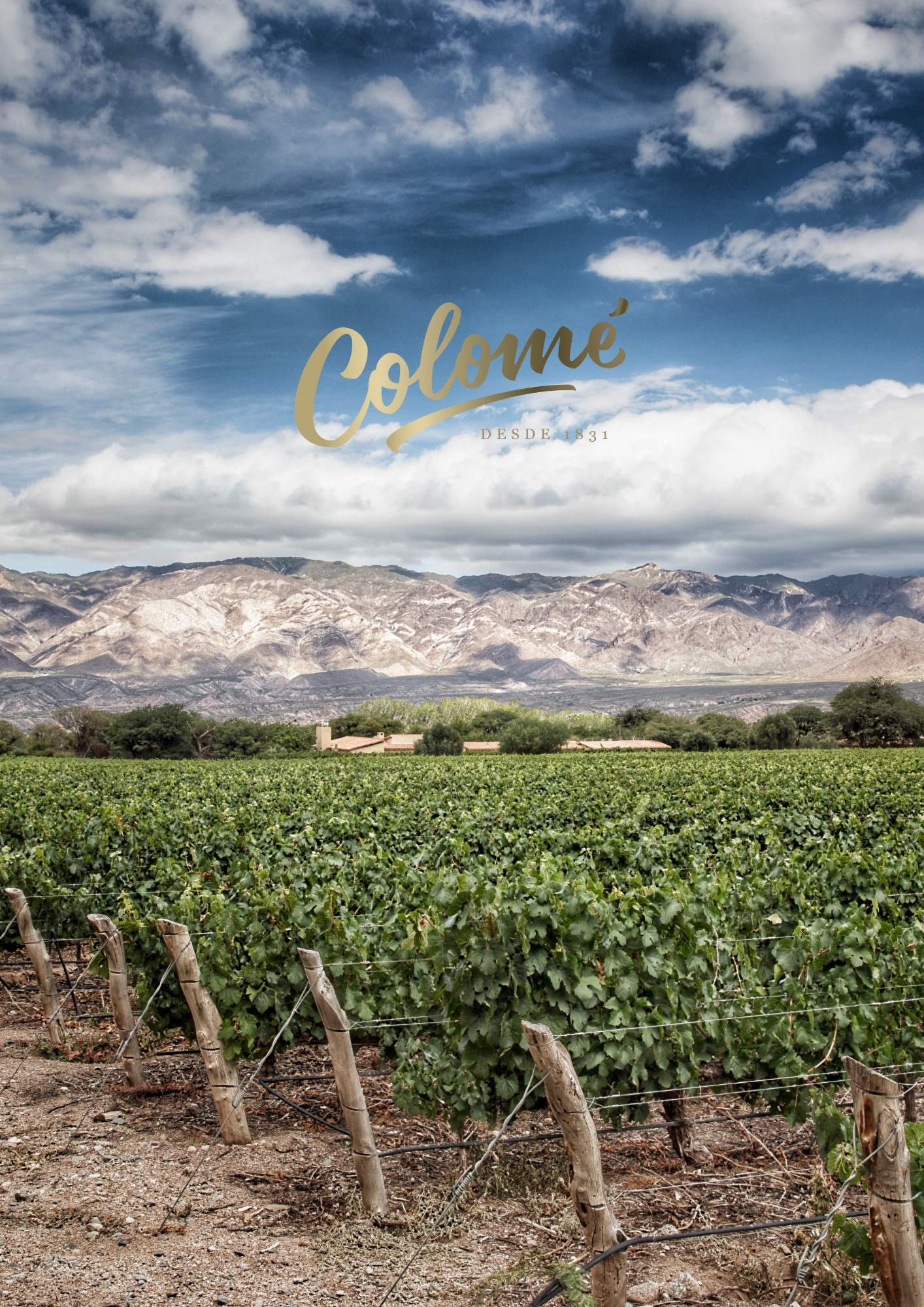 Journey to the Clouds with Bodega Colomé