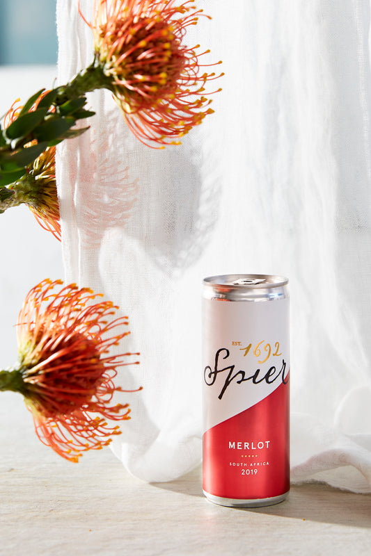 Spier Canned Merlot 2023