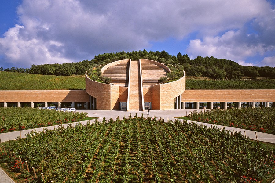Wine Cloud - Premium Quality Wines from the World to Your Doorstep
